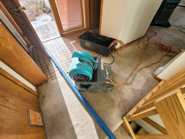 Best Water damage restoration insurance claims  in Hampton Manor, NY