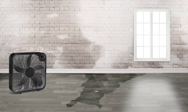 Best Emergency water damage restoration  in Hampton Manor, NY