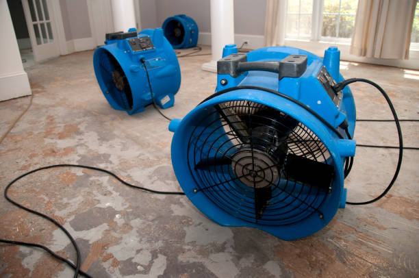 Best Ceiling water damage repair  in Hampton Manor, NY