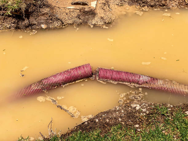 Best Residential water damage restoration  in Hampton Manor, NY