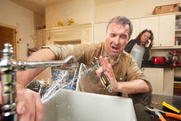 Best Carpet water damage restoration  in Hampton Manor, NY